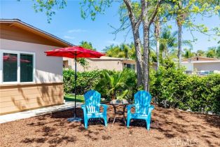 Single Family Residence, 242 Kalmia st, Fallbrook, CA 92028 - 5