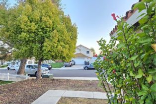 Single Family Residence, 24356 Via Las Junitas, Murrieta, CA 92562 - 40