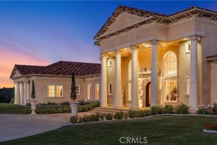 Single Family Residence, 19319 Calle Juanito, Murrieta, CA 92562 - 9