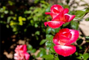 Single Family Residence, 1057 Ridge Heights dr, Fallbrook, CA 92028 - 41