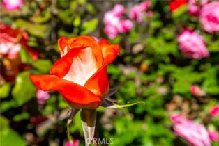 Single Family Residence, 1057 Ridge Heights dr, Fallbrook, CA 92028 - 42