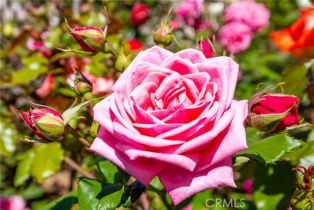 Single Family Residence, 1057 Ridge Heights dr, Fallbrook, CA 92028 - 43