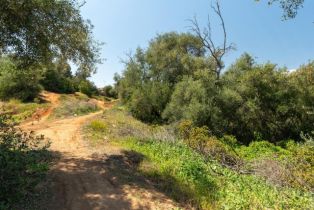 , 502 Elder st, Fallbrook, CA 92028 - 13