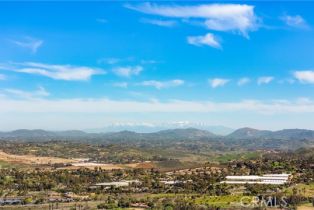 Condominium, 1648 Fig Tree way, Oceanside, CA 92056 - 44