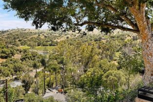 Single Family Residence, 2923 Canonita dr, Fallbrook, CA 92028 - 38