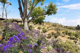 Single Family Residence, 2923 Canonita dr, Fallbrook, CA 92028 - 47