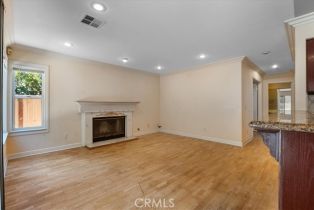 Single Family Residence, 1008 Funquest dr, Fallbrook, CA 92028 - 13