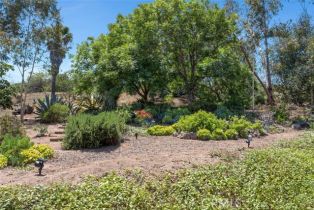 Single Family Residence, 3331 Via Altamira, Fallbrook, CA 92028 - 29