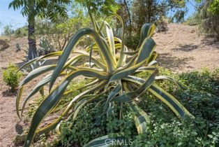 Single Family Residence, 3331 Via Altamira, Fallbrook, CA 92028 - 31