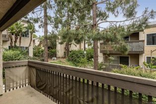 ,  , La Jolla, CA 92037 - 11