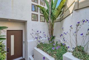 Single Family Residence, 7784 Lookout dr, La Jolla, CA 92037 - 5