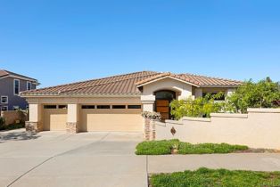 Single Family Residence, 262 Pacific View Ln, Encinitas, CA  Encinitas, CA 92024