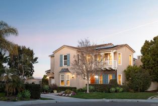Single Family Residence, 6638 Elegant Tern PL, Carlsbad, CA  Carlsbad, CA 92011
