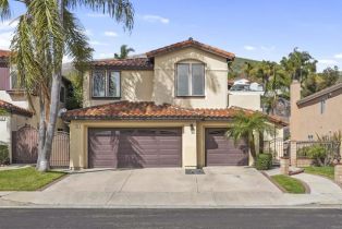 Single Family Residence, 205 Terramar, San Clemente, CA  San Clemente, CA 92673