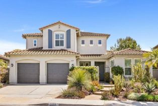 Single Family Residence, 2255 Camino Robledo, CA  , CA 92009