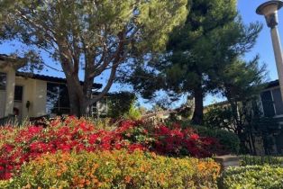 Residential Lease, 2406 Altisma WAY, CA  , CA 92009