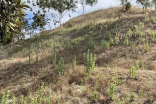 , 1702 Havenwood dr, Oceanside, CA 92056 - 4