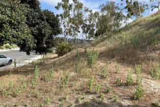 , 1702 Havenwood dr, Oceanside, CA 92056 - 6