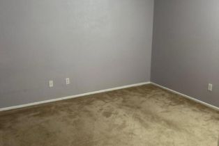 Single Family Residence, 28664 Lavatera ave, Murrieta, CA 92563 - 7