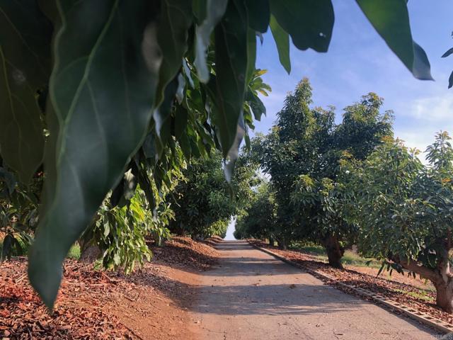 , 1313 Rice Canyon rd, Fallbrook, CA 92028 - 1