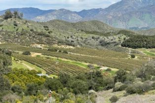 , 36353 Carney rd, Valley Center, CA 92082 - 13