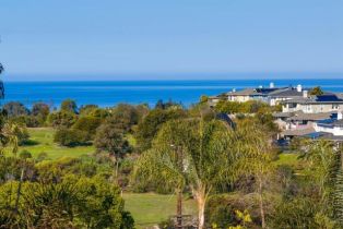 Single Family Residence, 623 Quail Gardens ln, Encinitas, CA 92024 - 27