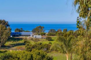 Single Family Residence, 623 Quail Gardens ln, Encinitas, CA 92024 - 29