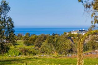 Single Family Residence, 623 Quail Gardens ln, Encinitas, CA 92024 - 30