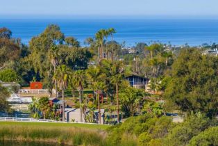 Single Family Residence, 623 Quail Gardens ln, Encinitas, CA 92024 - 31