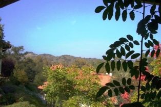 Single Family Residence, 1879 Fox Bridge ct, Fallbrook, CA 92028 - 29