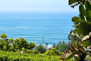 Single Family Residence, 302 Ocean View ave, Del Mar, CA 92014 - 30