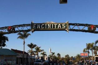 , 1341 Berryman Canyon rd, Encinitas, CA 92024 - 10