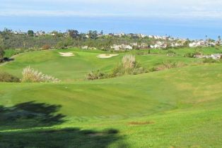 , 1331 Berryman Canyon rd, Encinitas, CA 92024 - 13