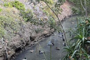 , 3480 Don Lorenzo dr, Carlsbad, CA 92010 - 31