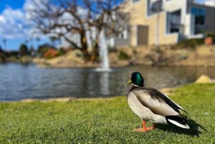 Condominium, 614 4th st, Coronado, CA 92118 - 29