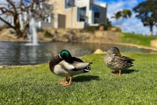 Condominium, 614 4th st, Coronado, CA 92118 - 30