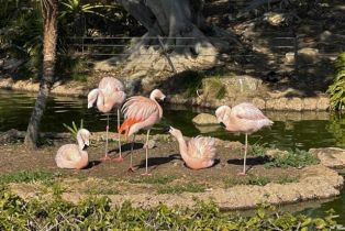 Condominium, 614 4th st, Coronado, CA 92118 - 31