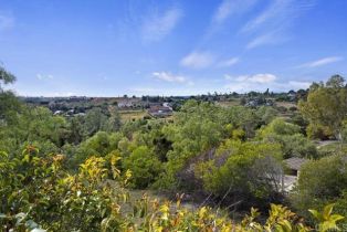 Single Family Residence, 4033 Keri way, Fallbrook, CA 92028 - 46