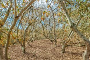 Single Family Residence, 30508 Circle R ln, Valley Center, CA 92082 - 34