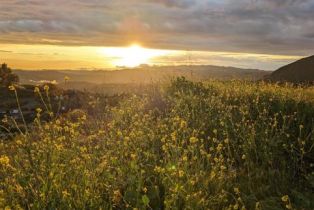 , VISTA DEL RIO, Fallbrook, CA 92028 - 7