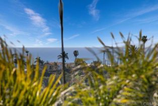 Single Family Residence, 1934 Pariva dr, Cardiff By The Sea, CA 92007 - 43