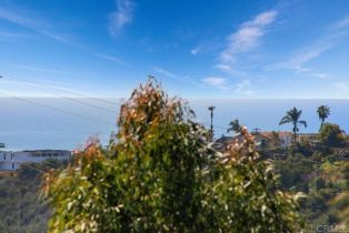 Single Family Residence, 1934 Pariva dr, Cardiff By The Sea, CA 92007 - 45