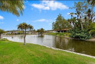 , 3462 Don Jose dr, Carlsbad, CA 92010 - 17