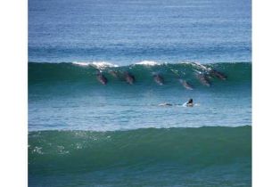 Condominium, 800 Grand ave, Carlsbad, CA 92008 - 3