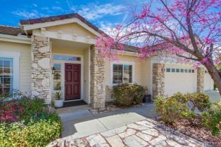 Single Family Residence, 2162 Knollwood ave, Fallbrook, CA 92028 - 8