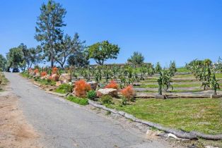 Single Family Residence, 840 Verde ave, Fallbrook, CA 92028 - 45