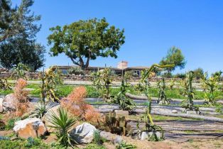 Single Family Residence, 840 Verde ave, Fallbrook, CA 92028 - 46
