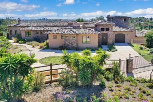 Single Family Residence, 3451 Dove Hollow rd, Encinitas, CA 92024 - 54