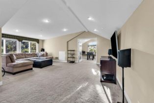 Single Family Residence, 3537 Dove Hollow rd, Encinitas, CA 92024 - 41