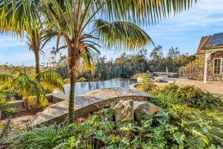 Single Family Residence, 3537 Dove Hollow rd, Encinitas, CA 92024 - 45
